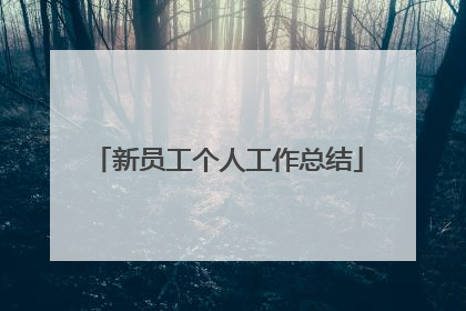 新员工个人工作总结