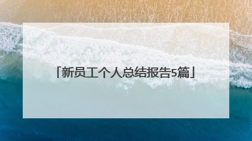 新员工个人总结报告5篇