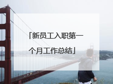 新员工入职第一个月工作总结