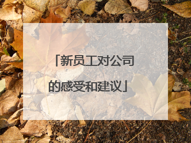 新员工对公司的感受和建议
