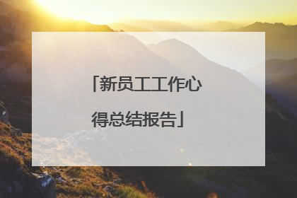 新员工工作心得总结报告
