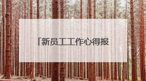 新员工工作心得报告怎么写范文精选