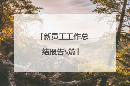 新员工工作总结报告5篇