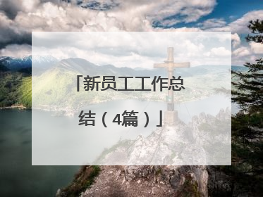 新员工工作总结（4篇）