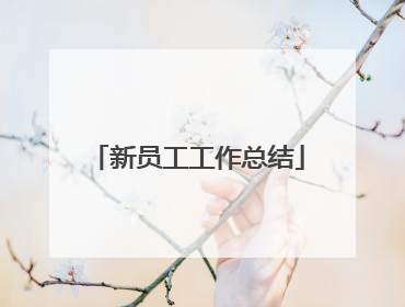 新员工工作总结