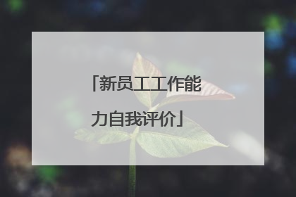 新员工工作能力自我评价
