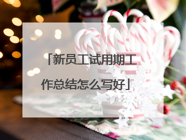新员工试用期工作总结怎么写好