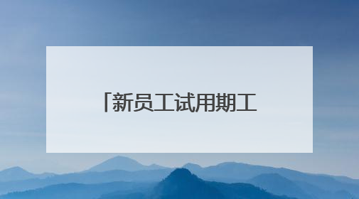新员工试用期工作总结怎么写?