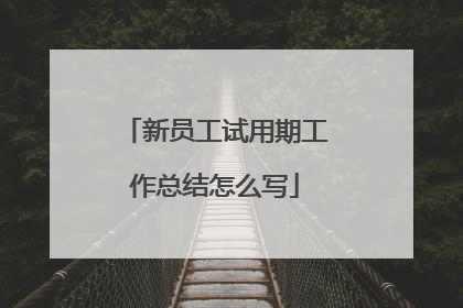 新员工试用期工作总结怎么写