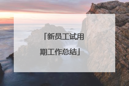 新员工试用期工作总结