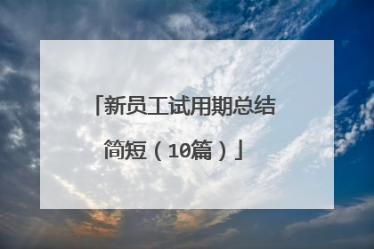 新员工试用期总结简短(10篇)