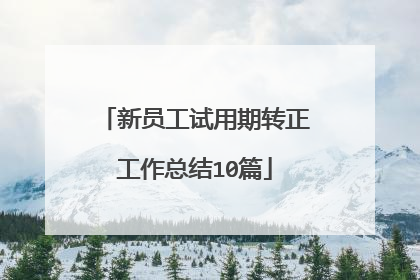 新员工试用期转正工作总结10篇