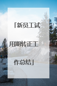 新员工试用期转正工作总结