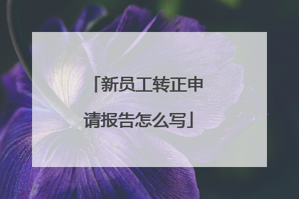 新员工转正申请报告怎么写