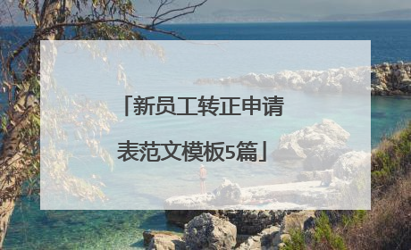 新员工转正申请表范文模板5篇