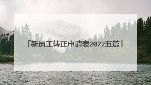 新员工转正申请表2022五篇