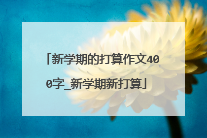 新学期的打算作文400字_新学期新打算