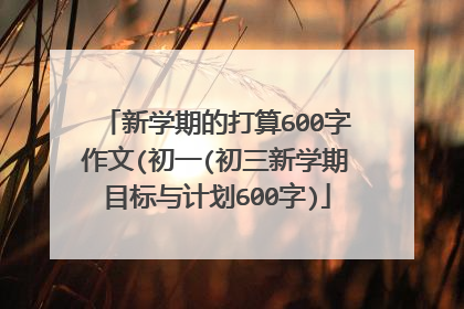 新学期的打算600字作文(初一(初三新学期目标与计划600字)