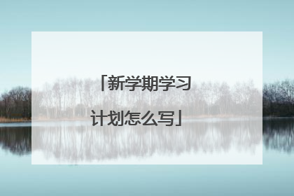 新学期学习计划怎么写