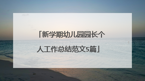 新学期幼儿园园长个人工作总结范文5篇
