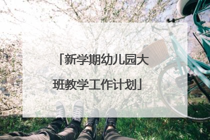 新学期幼儿园大班教学工作计划