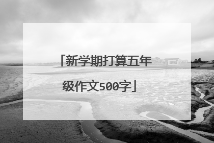 新学期打算五年级作文500字