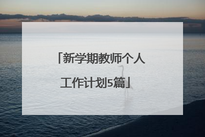 新学期教师个人工作计划5篇