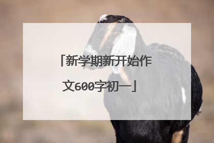 新学期新开始作文600字初一