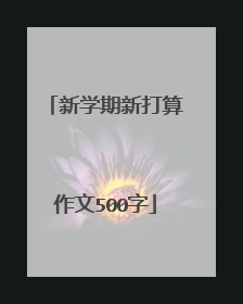 新学期新打算作文500字
