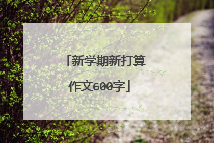 新学期新打算作文600字