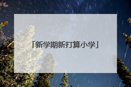 新学期新打算小学