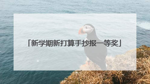 新学期新打算手抄报一等奖