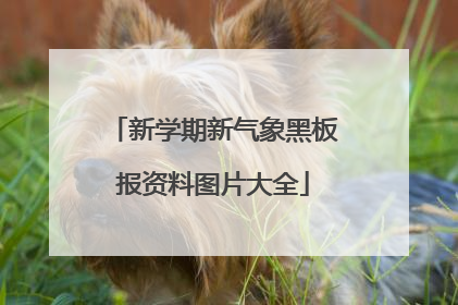 新学期新气象黑板报资料图片大全