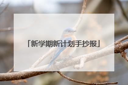 新学期新计划手抄报