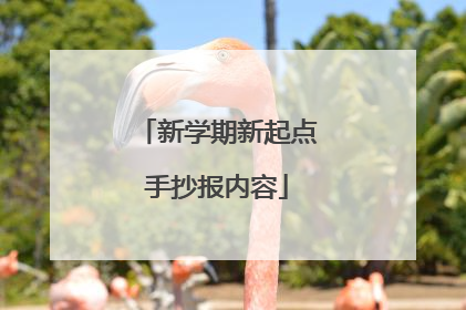 新学期新起点手抄报内容