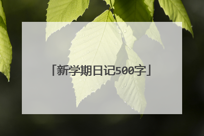 新学期日记500字
