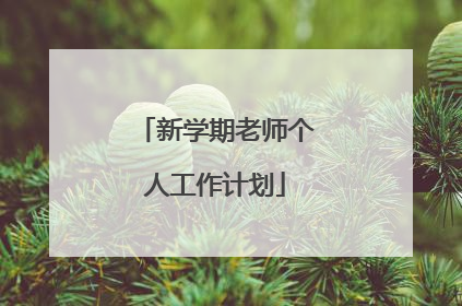 新学期老师个人工作计划