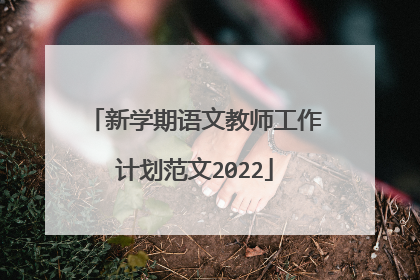 新学期语文教师工作计划范文2022