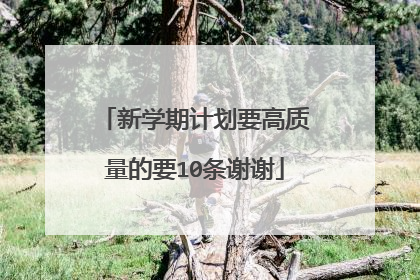 新学期计划要高质量的要10条谢谢