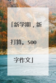 新学期，新打算。500字作文