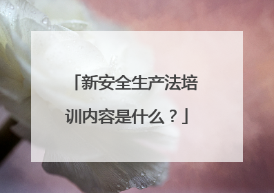 新安全生产法培训内容是什么？