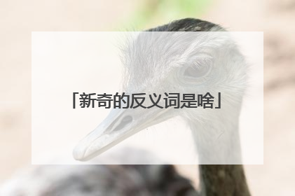 新奇的反义词是啥
