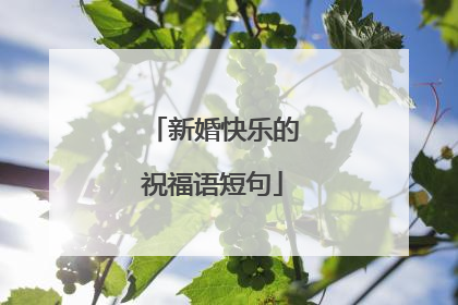 新婚快乐的祝福语短句