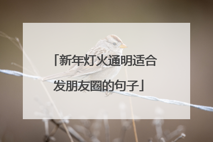 新年灯火通明适合发朋友圈的句子