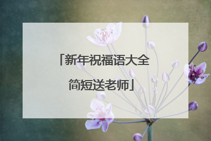新年祝福语大全 简短送老师