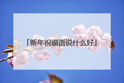 新年祝福语说什么好