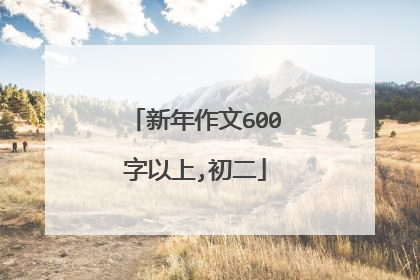 新年作文600字以上,初二
