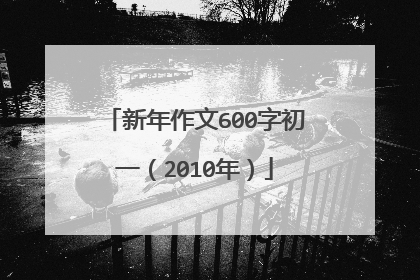 新年作文600字初一（2010年）