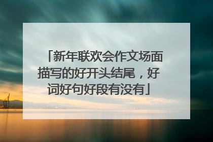 新年联欢会作文场面描写的好开头结尾，好词好句好段有没有