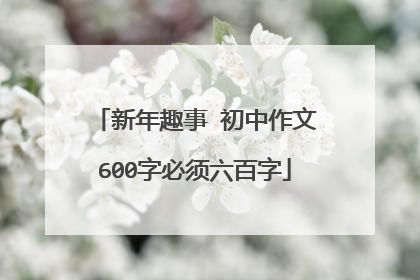 新年趣事 初中作文600字必须六百字